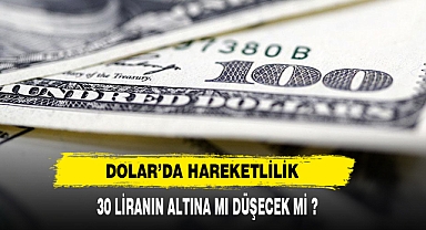 DOLAR 30 LİRANIN ALTINA DÜŞECEK Mİ ?