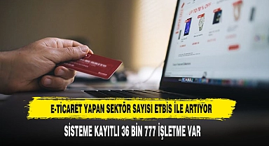 E-Ticaret Yapan Sektör Sayısı ETBİS İle Artıyor