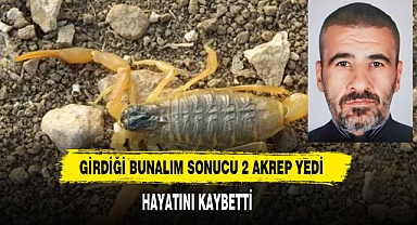 Girdiği Bunalım Sonucu 2 Akrep Yedi Hayatını Kaybetti