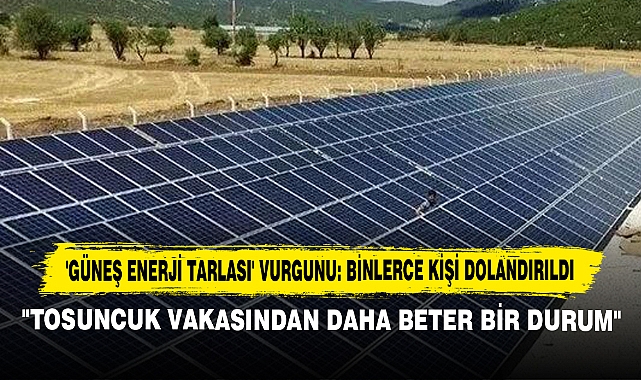 'Güneş Enerji Tarlası' Vurgunu: Binlerce Kişi Dolandırıldı