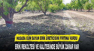 HASADA GÜN SAYAN ERİK ÜRETİCİSİNİ FIRTINA VURDU