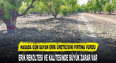 HASADA GÜN SAYAN ERİK ÜRETİCİSİNİ FIRTINA VURDU