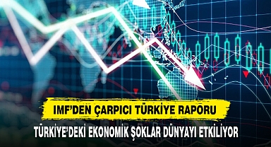 IMF’DEN ÇARPICI TÜRKİYE RAPORU