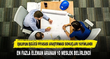 İŞKUR'un İşgücü Piyasası Araştırması Sonuçları Yayımlandı