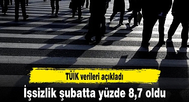 İşsizlik şubatta yüzde 8,7 oldu