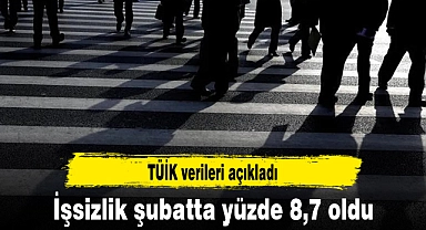 İşsizlik şubatta yüzde 8,7 oldu