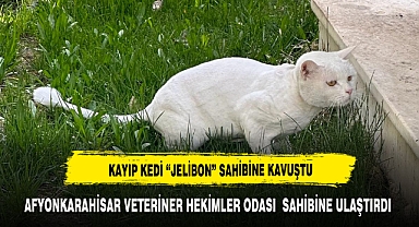 KAYIP KEDİ “JELİBON” SAHİBİNE KAVUŞTU