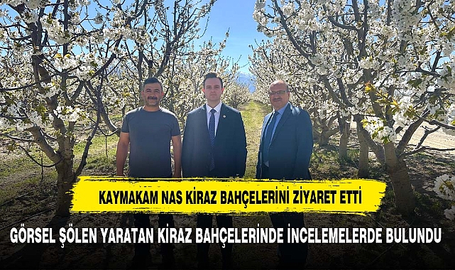 Kaymakam NAS İlçe Tarım ve Orman Müdürü ÖNDER ile birlikte ilçede bulunan kiraz bahçelerini ziyaret etti.