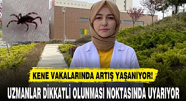 KENE VAKALARINDA ARTIŞ YAŞANIYOR!