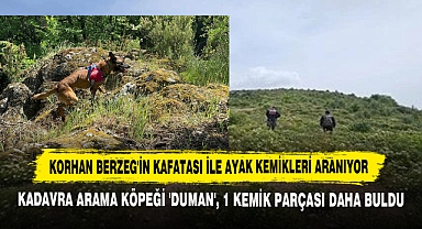 Korhan Berzeg'in Kafatası ile Ayak Kemikleri Aranıyor: Kadavra Arama Köpeği 'Duman', 1 Kemik Parçası Daha Buldu