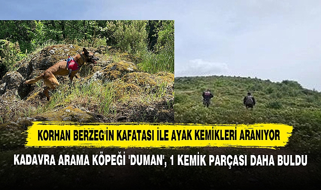 Korhan Berzeg'in Kafatası ile Ayak Kemikleri Aranıyor: Kadavra Arama Köpeği 'Duman', 1 Kemik Parçası Daha Buldu