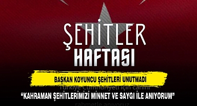 Koyuncu: