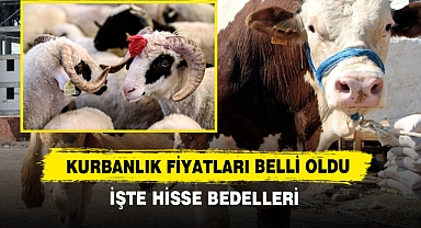 Kurbanlık Fiyatları Belli Oldu: İşte Hisse Bedelleri