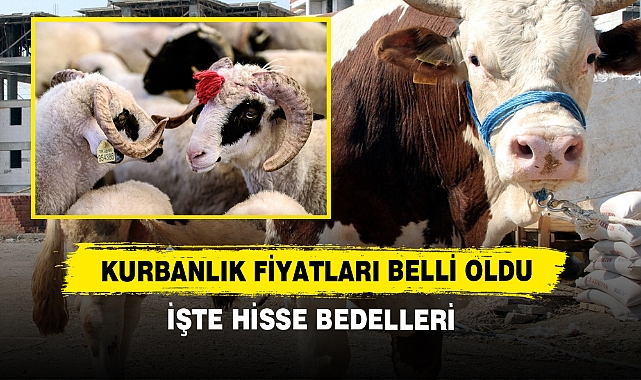 Kurbanlık Fiyatları Belli Oldu: İşte Hisse Bedelleri