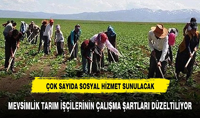 MEVSİMLİK TARIM İŞÇİLERİNİN ÇALIŞMA ŞARTLARI DÜZELTİLİYOR