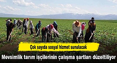 Mevsimlik tarım işçilerinin çalışma şartları düzeltiliyor