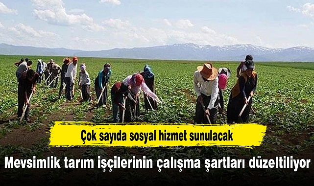 Mevsimlik tarım işçilerinin çalışma şartları düzeltiliyor