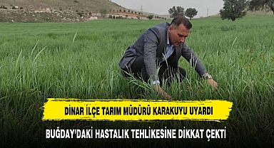 Müdür Karakuyu Buğdaydaki hastalık tehlikesine dikkat çekti