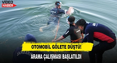 Otomobil Gölete Düştü!