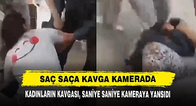 Saç Saça Kavga Kamerada
