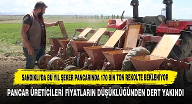 Sandıklı’da Bu Yıl Şeker Pancarında 170 Bin Ton Rekolte Bekleniyor