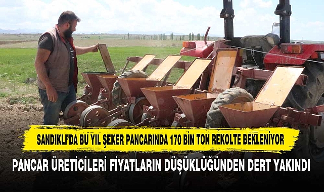Sandıklı’da Bu Yıl Şeker Pancarında 170 Bin Ton Rekolte Bekleniyor