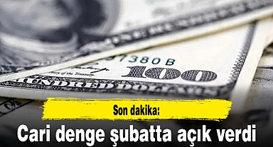 Son dakika: Cari denge şubatta açık verdi