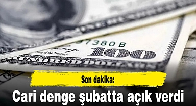 Son dakika: Cari denge şubatta açık verdi