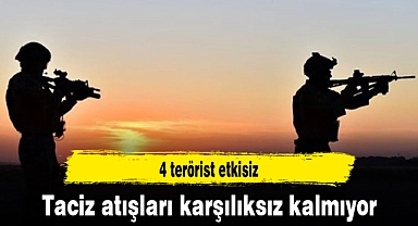 Taciz atışları karşılıksız kalmıyor: 4 terörist etkisiz