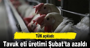 Tavuk eti üretimi şubatta aylık yüzde 0,7 azaldı, yıllık yüzde 14,6 arttı