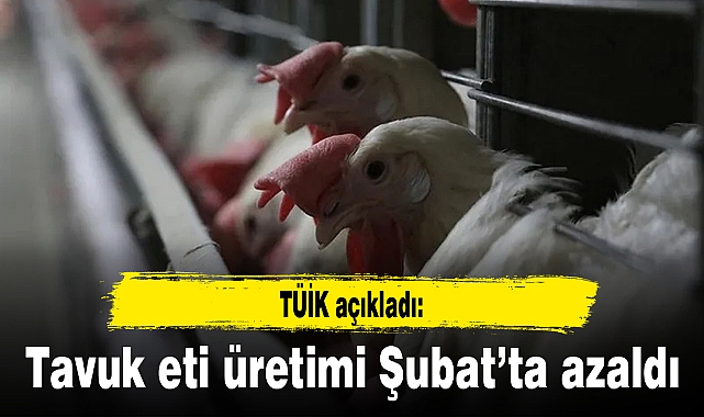 Tavuk eti üretimi şubatta aylık yüzde 0,7 azaldı, yıllık yüzde 14,6 arttı