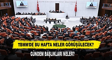 TBMM'de Bu Hafta Neler Görüşülecek?