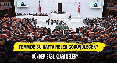 TBMM'de Bu Hafta Neler Görüşülecek?