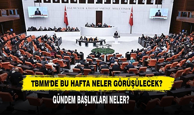 TBMM'de Bu Hafta Neler Görüşülecek?