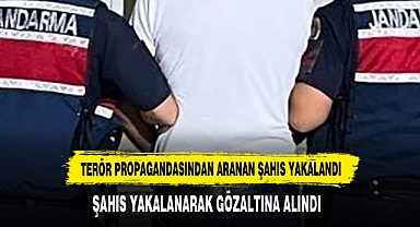 Terör Propagandasından Aranan Şahıs Yakalandı