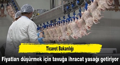 Ticaret Bakanlığı, fiyatları düşürmek için tavuğa ihracat yasağı getiriyor