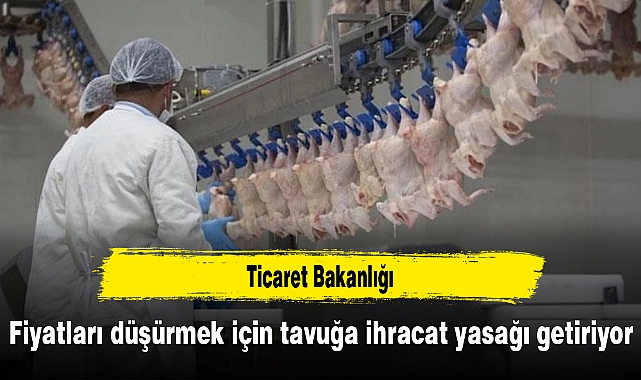 Ticaret Bakanlığı, fiyatları düşürmek için tavuğa ihracat yasağı getiriyor
