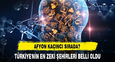 TÜRKİYE'NİN EN ZEKİ ŞEHİRLERİ BELLİ OLDU