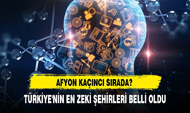TÜRKİYE'NİN EN ZEKİ ŞEHİRLERİ BELLİ OLDU