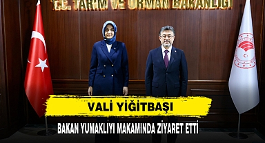 Vali Yiğitbaşı Bakan Yumaklı'yı Makamında Ziyaret Etti