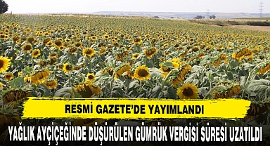 Yağlık Ayçiçeğinde Düşürülen Gümrük Vergisi Süresi Uzatıldı