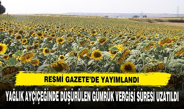 Yağlık Ayçiçeğinde Düşürülen Gümrük Vergisi Süresi Uzatıldı