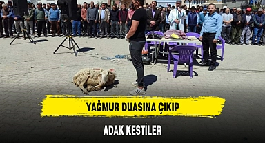 YAĞMUR DUASINA ÇIKIP, ADAK KESTİLER