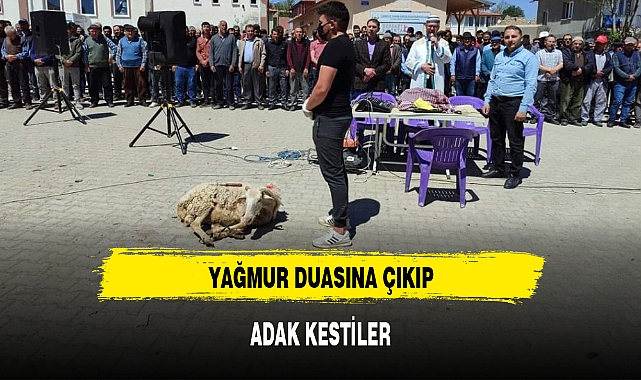 YAĞMUR DUASINA ÇIKIP, ADAK KESTİLER