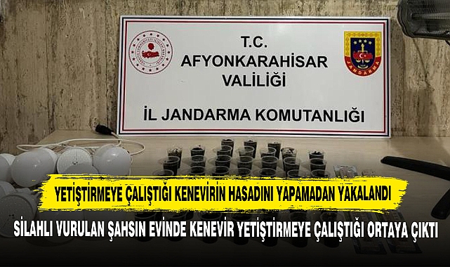 Yetiştirmeye Çalıştığı Kenevirin Hasadını Yapamadan Yakalandı