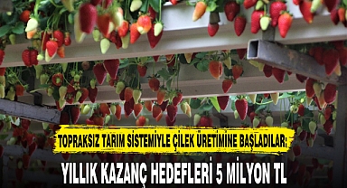 YILLIK KAZANÇ HEDEFLERİ 5 MİLYON TL