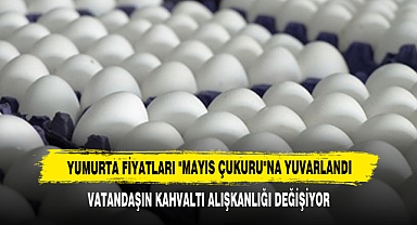 Yumurta Fiyatları 'Mayıs Çukuru'na Yuvarlandı