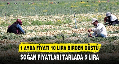1 AYDA FİYATI 10 LİRA BİRDEN DÜŞTÜ