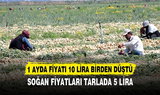 1 AYDA FİYATI 10 LİRA BİRDEN DÜŞTÜ