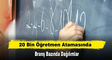 20 Bin Öğretmen Atamasında Branş Bazında Dağılımlar